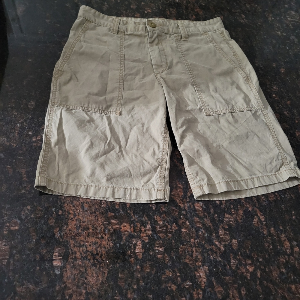 Mens Oldy Navy Shorts